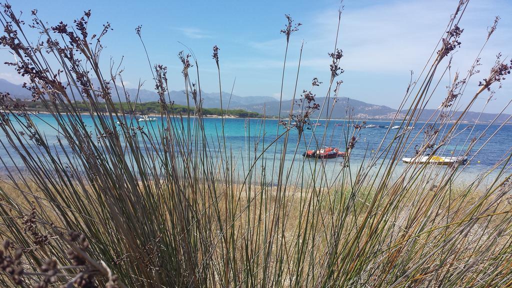 Cala Mirto 3* Budoni